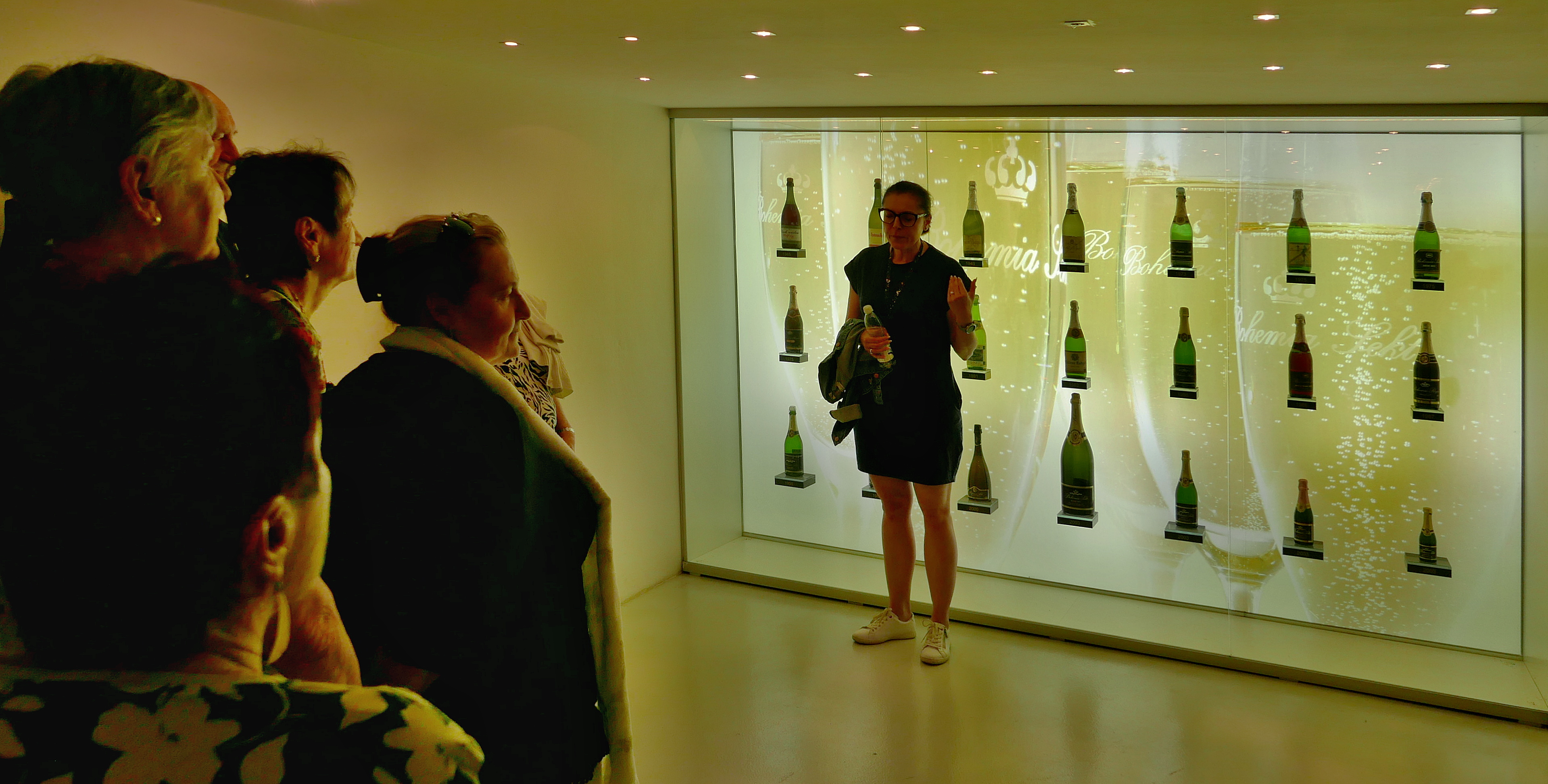 Galerie sektů